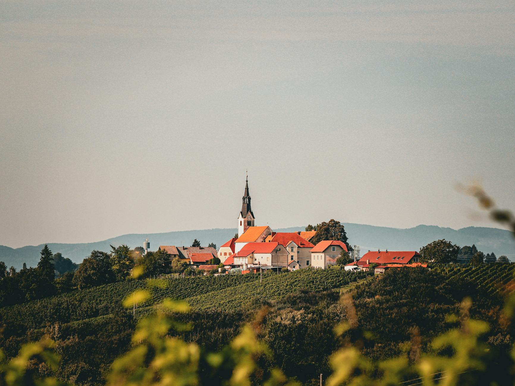 Weinviertel Heuriger