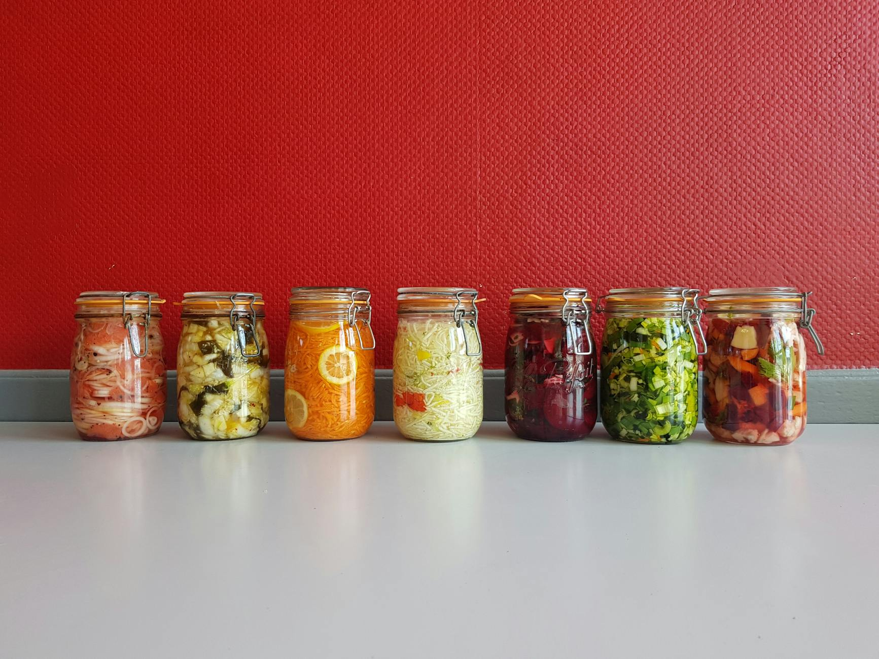 probiotic fermented foods