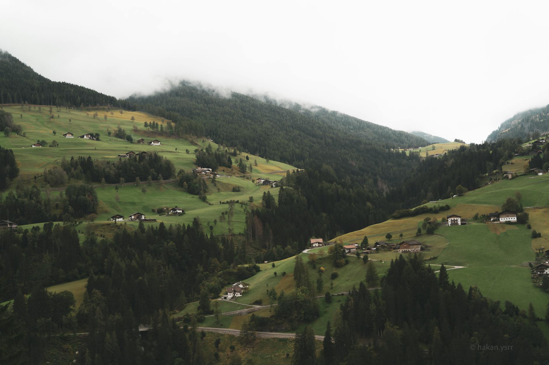 Heurigen Austrian countryside
