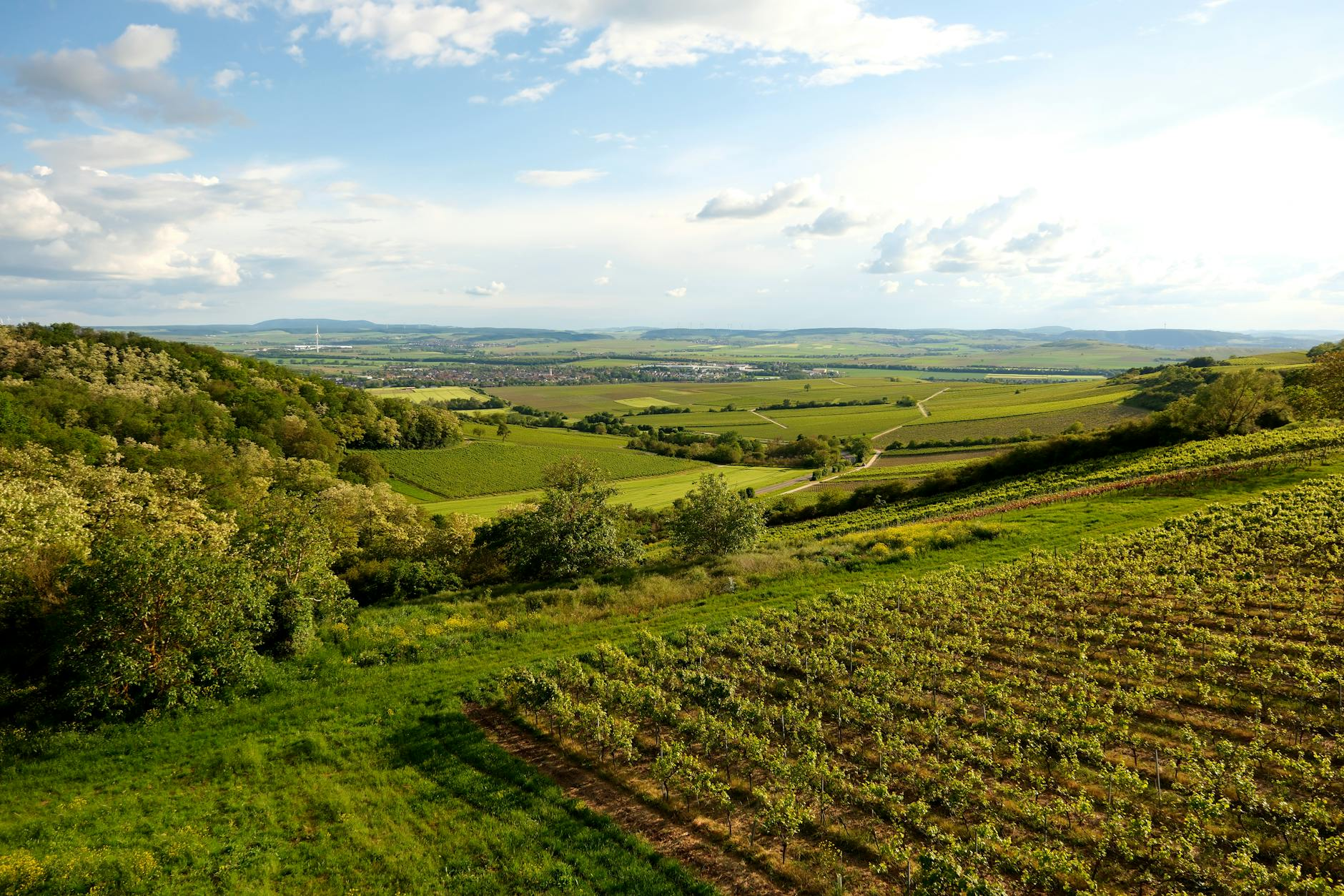 Weinviertel Heuriger