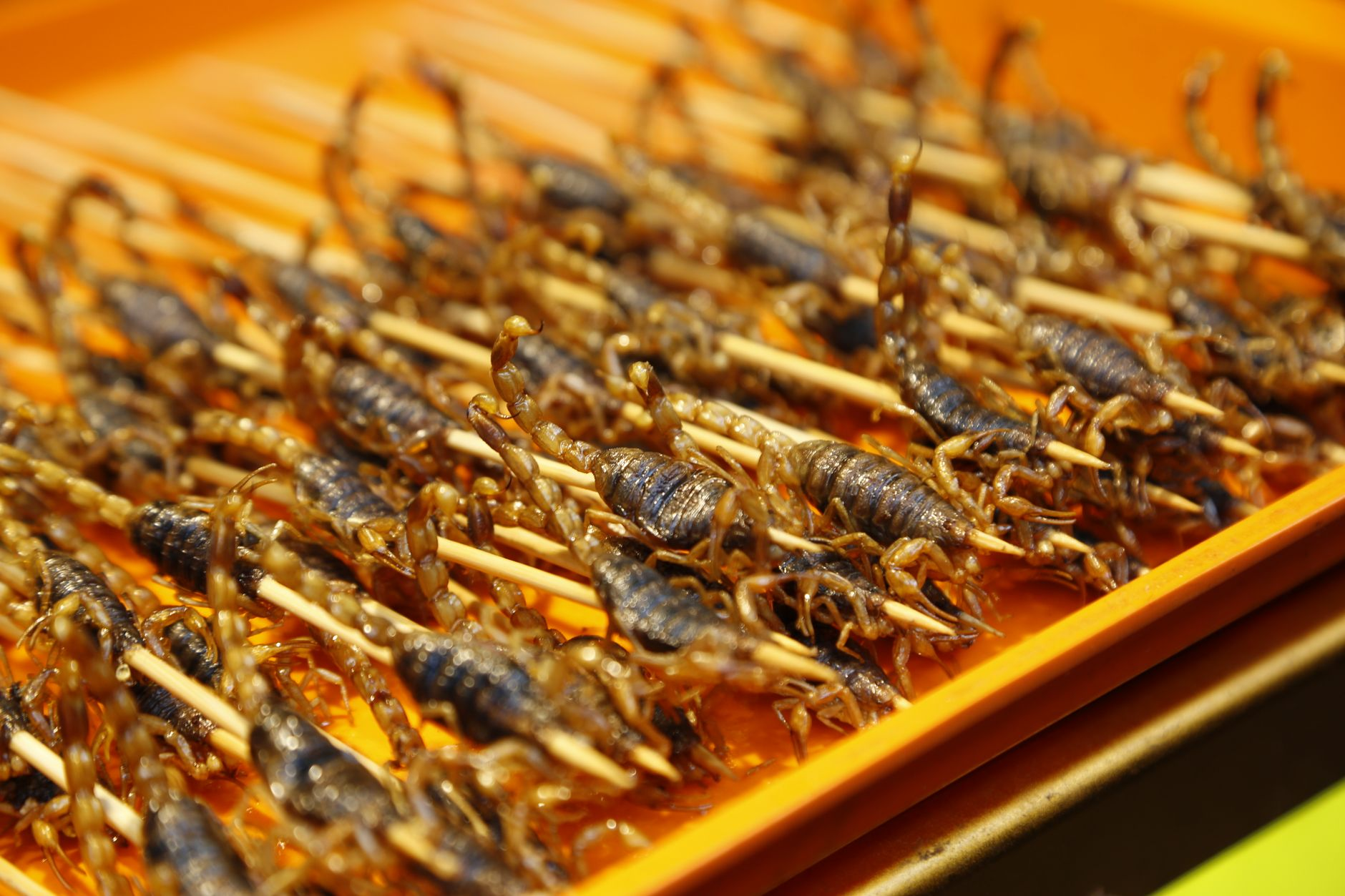 insect dish restaurant