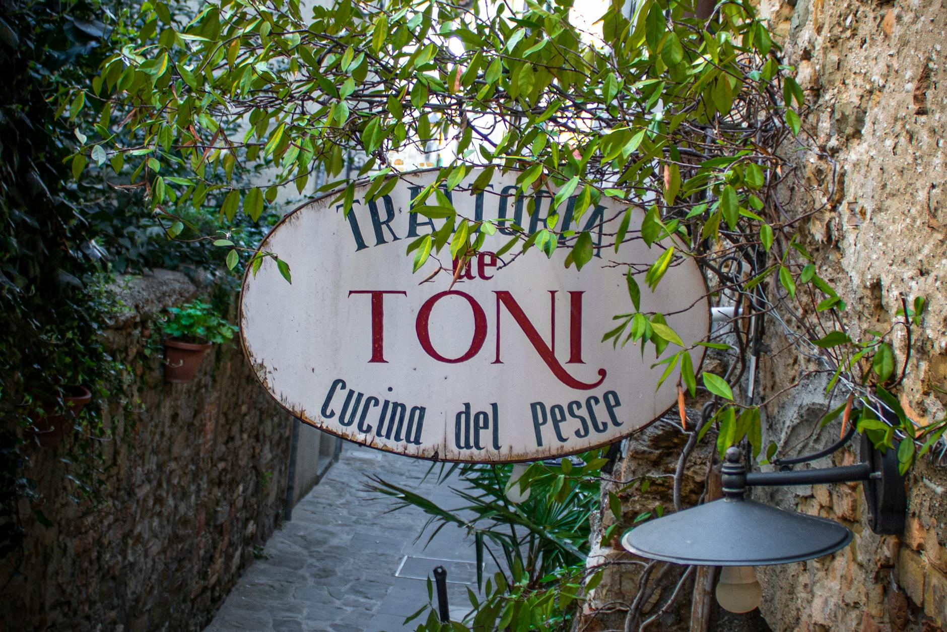 cozy italian trattoria interior